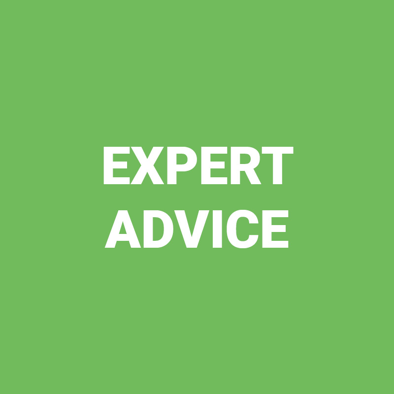 breastival-export-advice